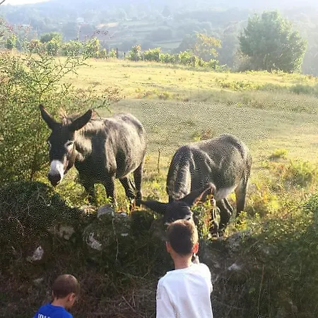 Cabana Nuestra Luz Ξενοδοχείο
